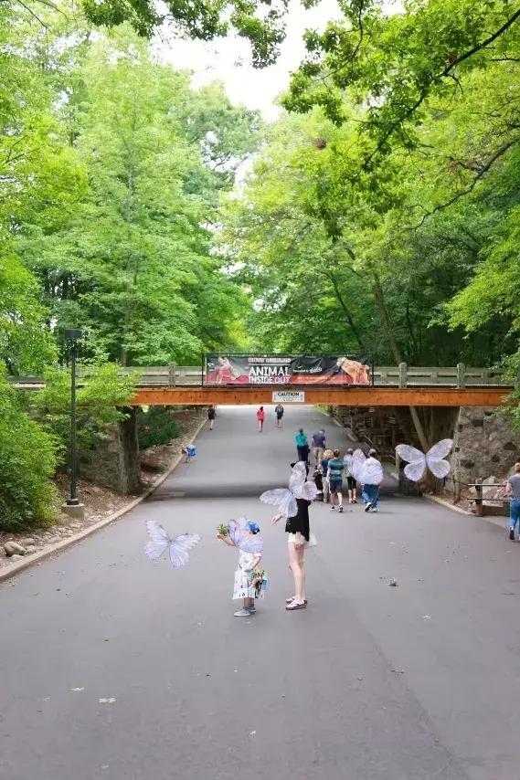 芝加哥及周边的好去处,芝加哥周边游玩