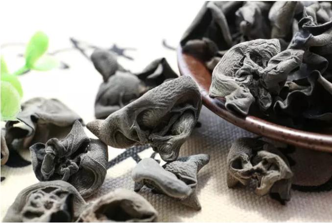 吉林省蛟河市黄松甸镇黑木耳,吉林省黄松甸是黑木耳的著名产地