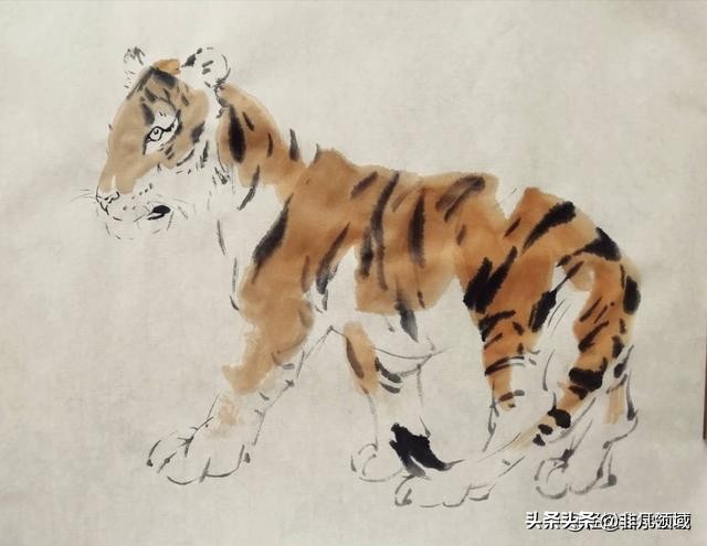 国画老虎画法步骤图,国画老虎画法步骤图解