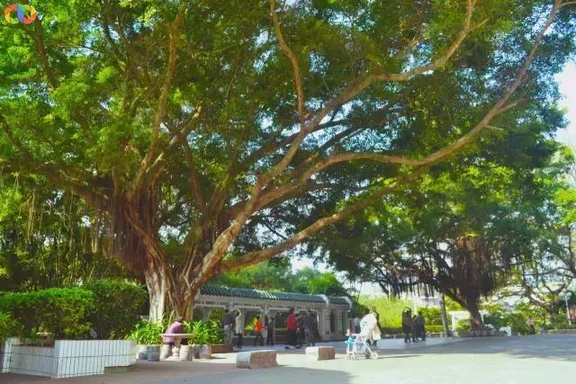 从平安路到桃园路的旧街，独属于老香洲的记忆