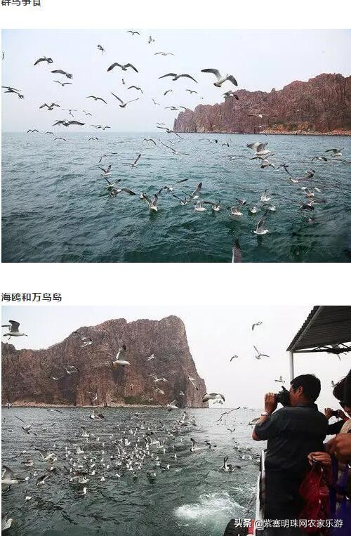 山东高级旅行社游玩攻略,长岛渤海长通旅运有限公司