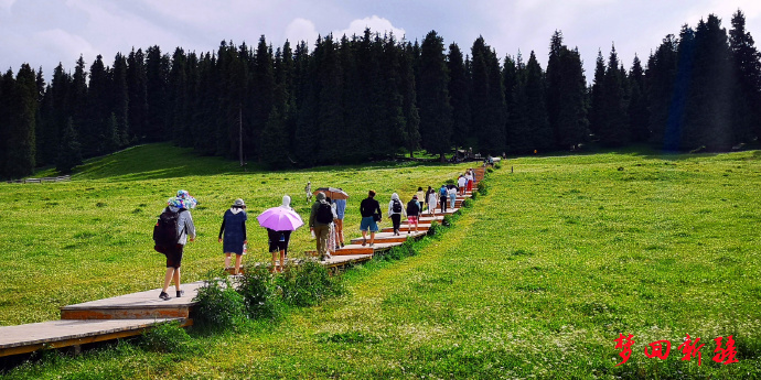 梦回新疆梦回拉萨,梦回伊宁草原视频