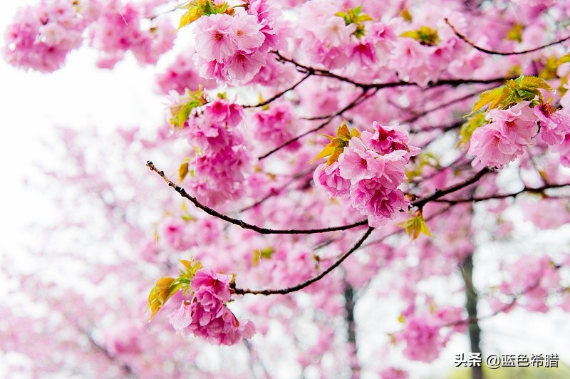 风景的摄影方法和鉴赏,摄影风景赏析