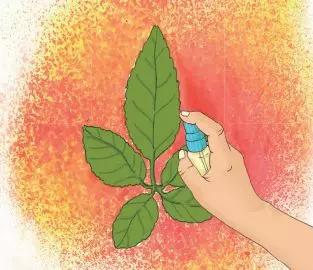 美术绘画类亲子游戏,在家就能玩的亲子游戏14岁