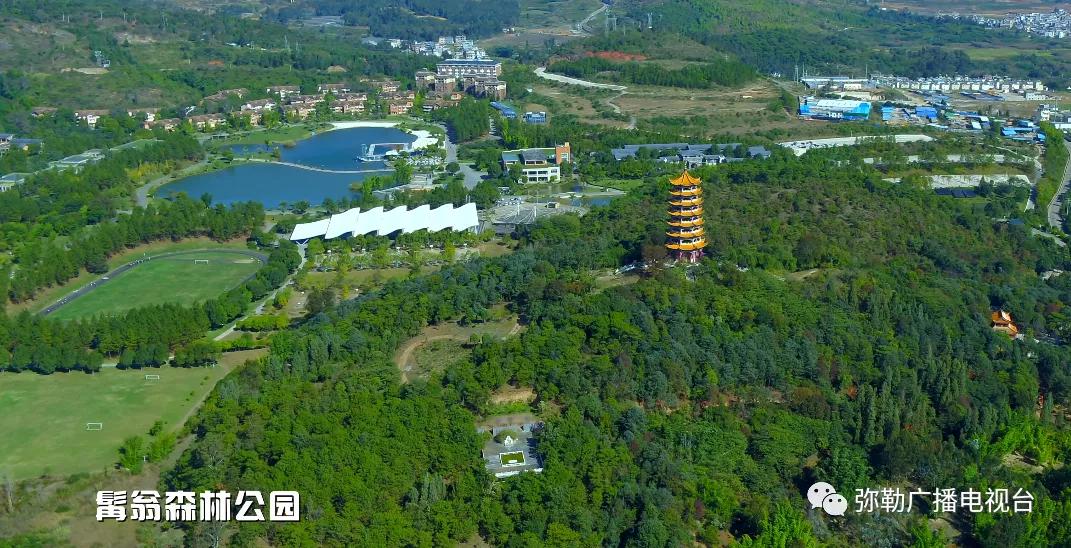 什么是弥勒教,什么是弥勒尊佛