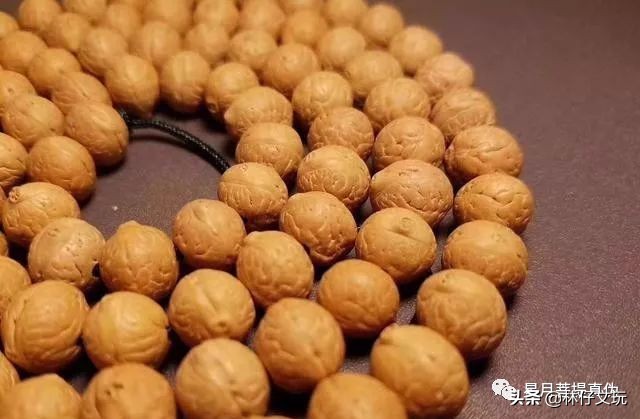 凤眼菩提盘玩讲解视频,凤眼菩提完整视频