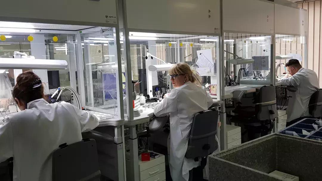 雷达表有什么特点,雷达表为什么很少有人提起