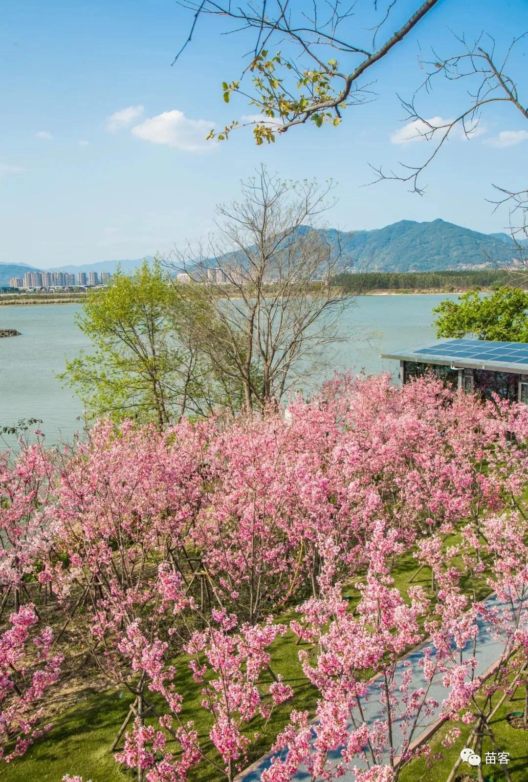 福州一日游不要钱最佳景点,福州周边短途一日游攻略的文章