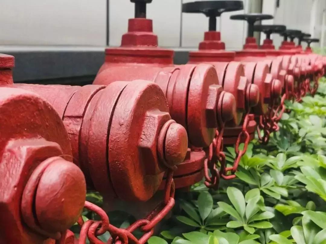 手机摄影拍照效果,手机拍照技巧和手机摄影分享