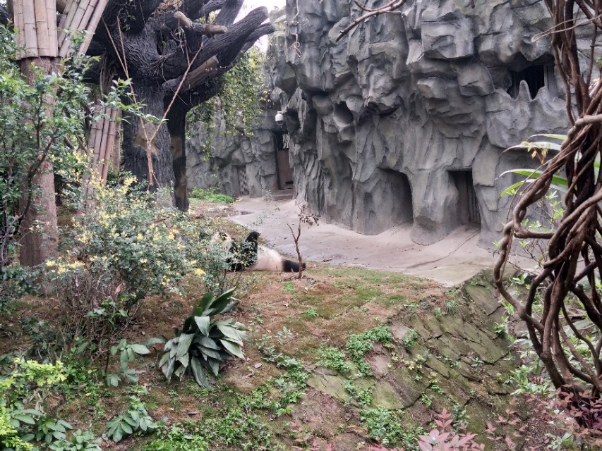 西安最新5月房产交易数据,西安房产数据可视化