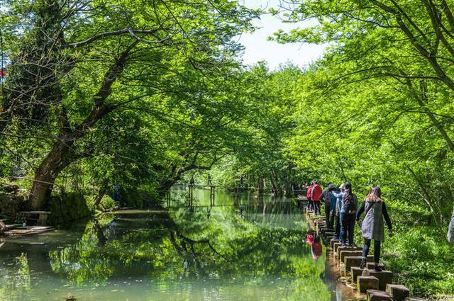 黄山西溪湿地,去西溪湿地