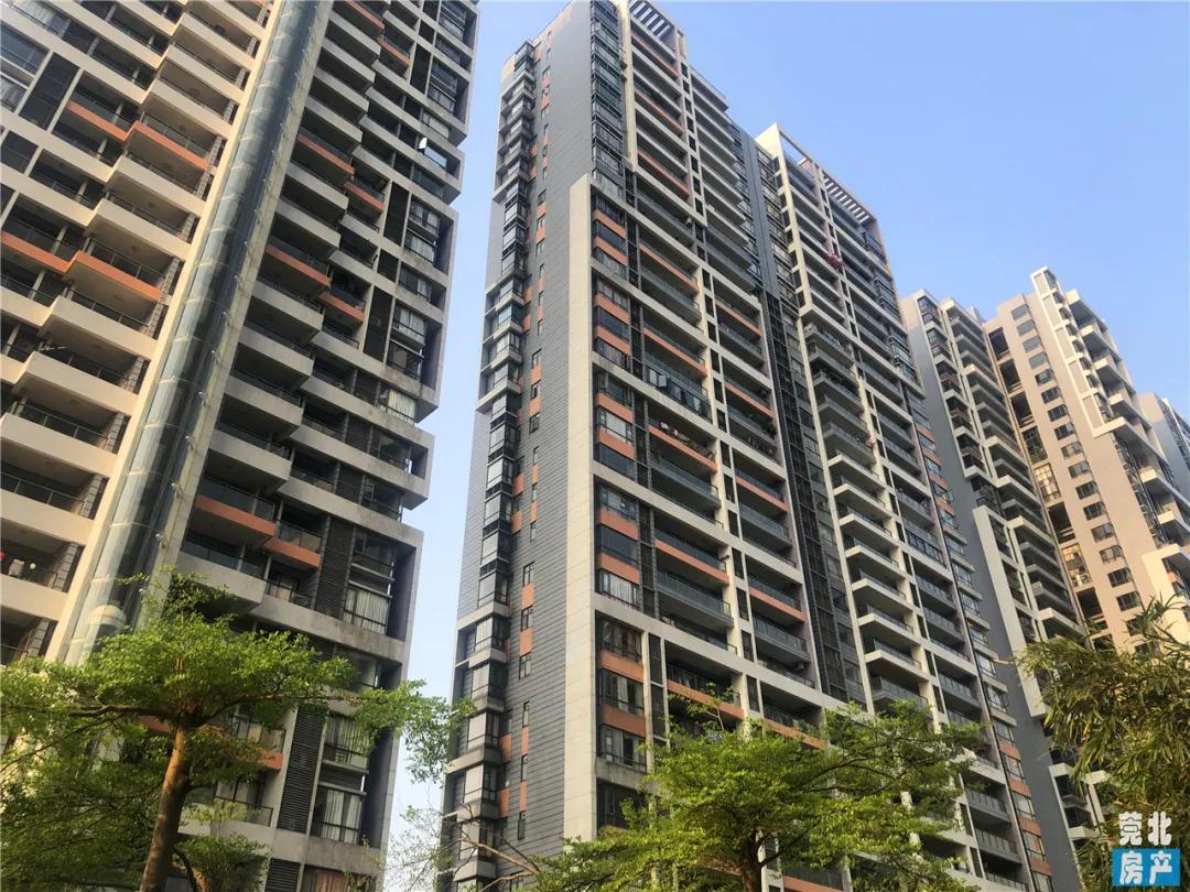 园洲东江府楼盘,惠州园洲东江府房价最新