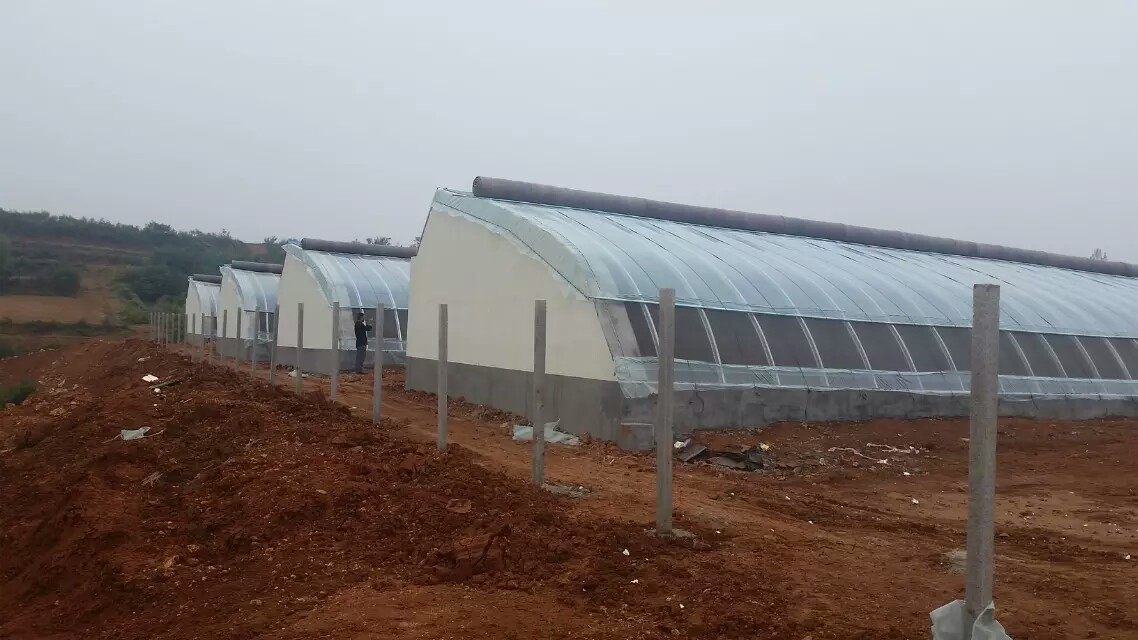 各种蔬菜大棚的种植时间和方法,蔬菜大棚种植技术主要注意哪些