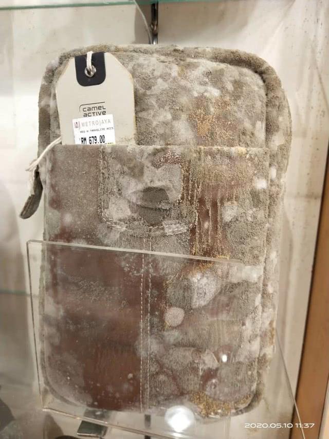 马来西亚百货店发霉,马来西亚商场皮革发霉