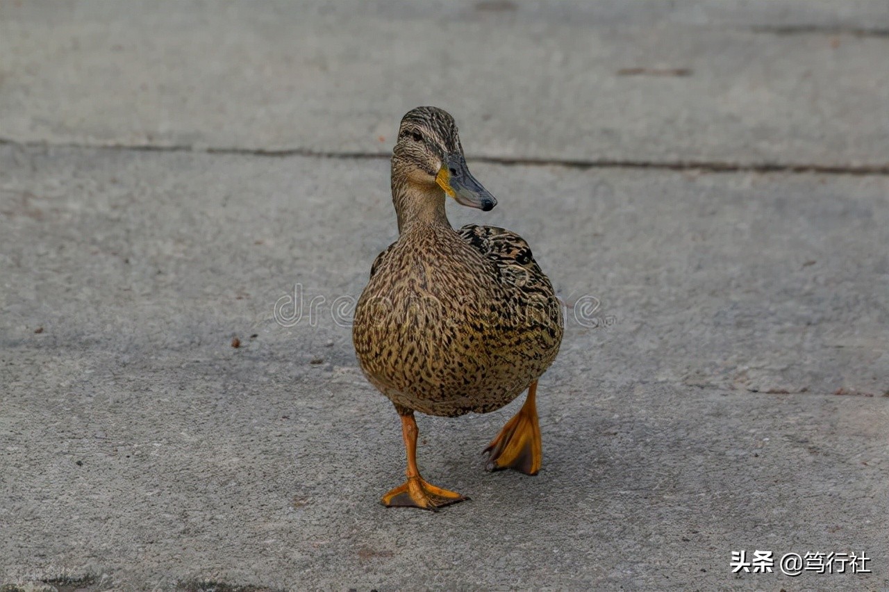 敢控制自己的是斗战胜佛，总想去控制别人的是妄想症