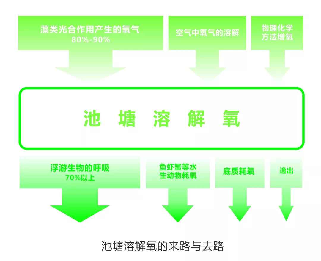 养殖池塘怎么提高溶氧,如何提高小龙虾池塘溶氧