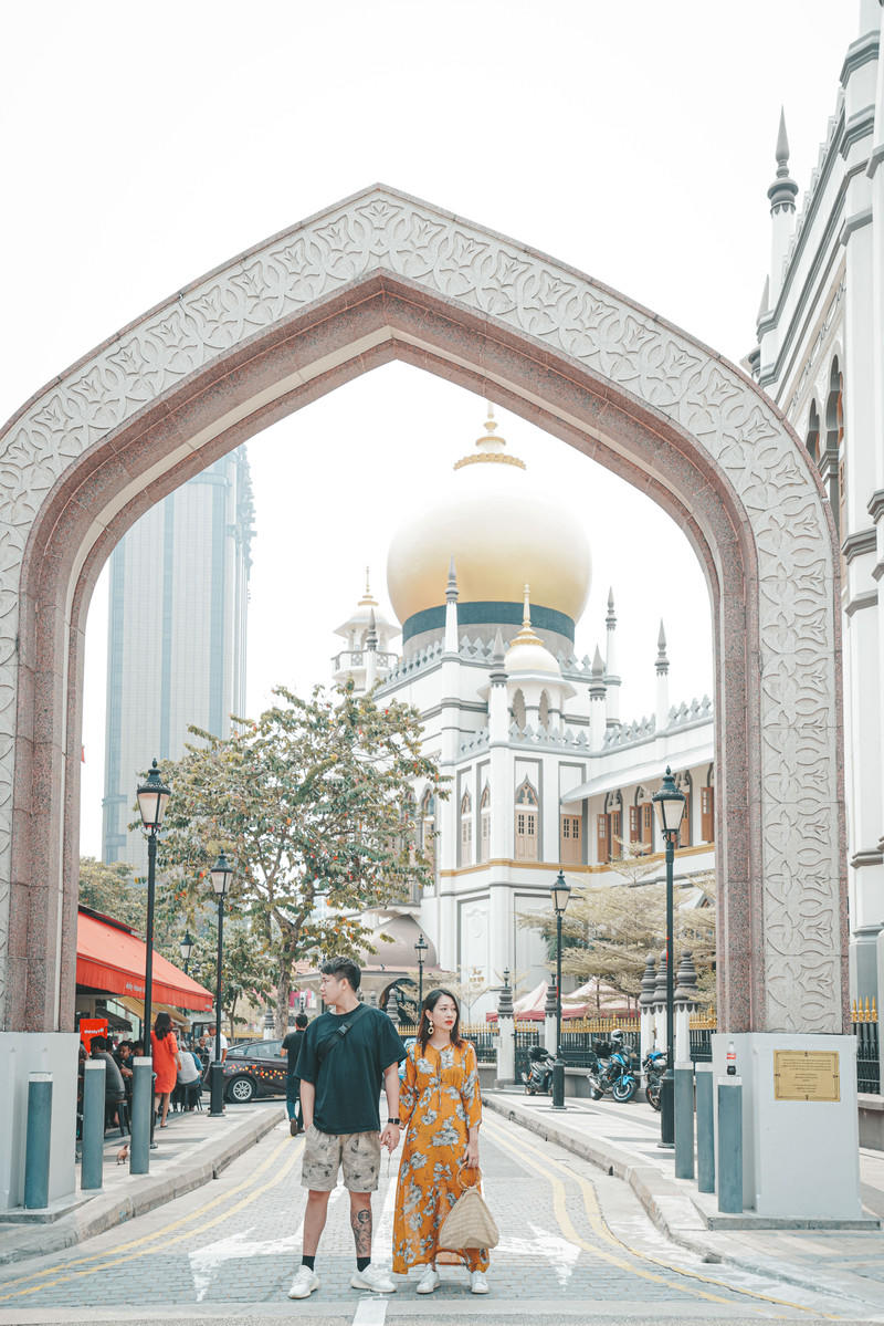 一人一猫环游,一人一猫旅行