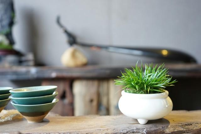 禅意浓浓的菖蒲盆景,最有禅意小绿植是菖蒲