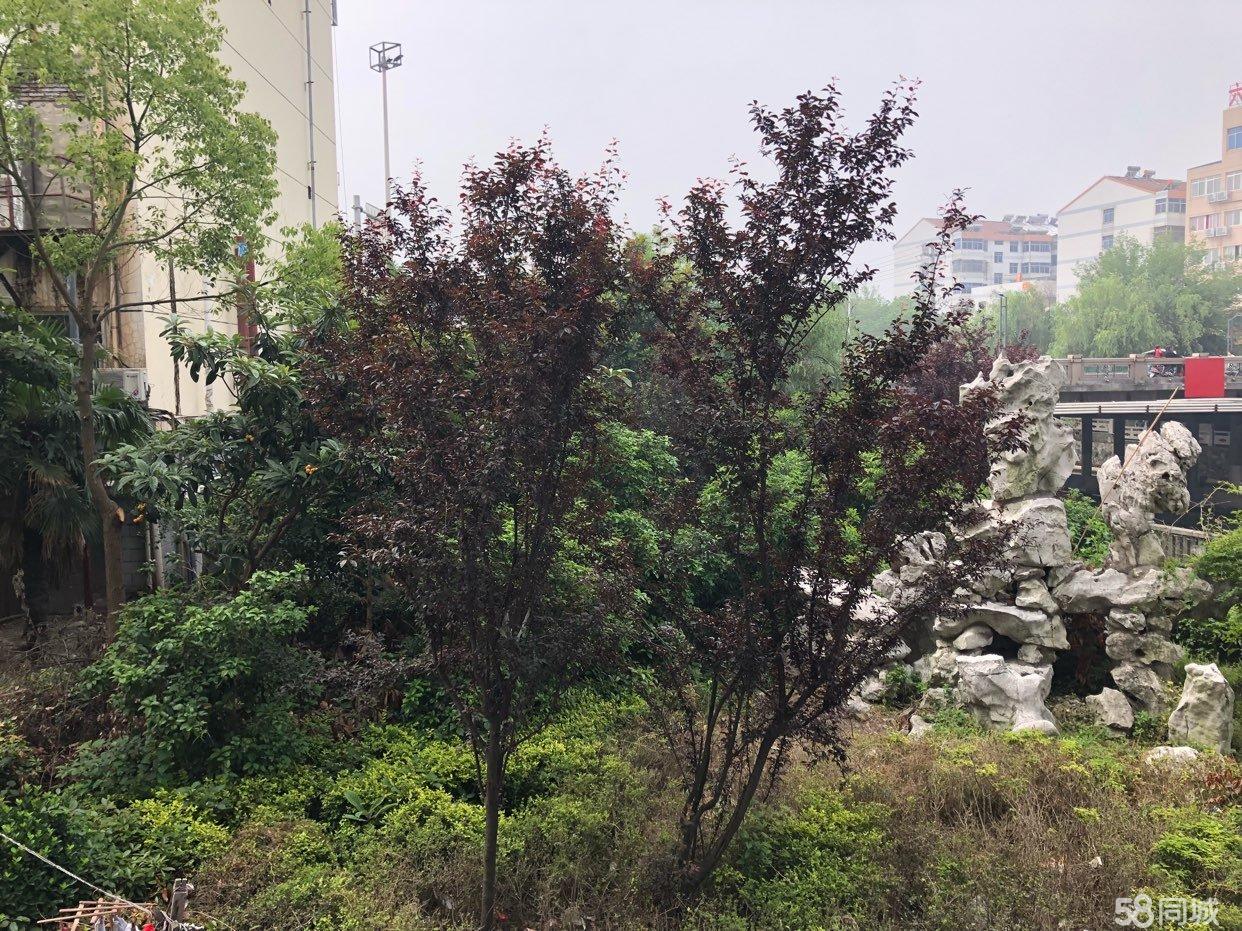 致道绝学有什么特点,东北房子怎么布置风水