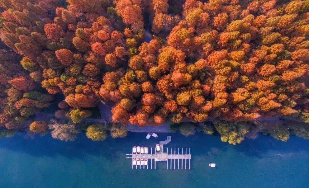 杭州碧桂园具体位置,杭州碧桂园在哪里