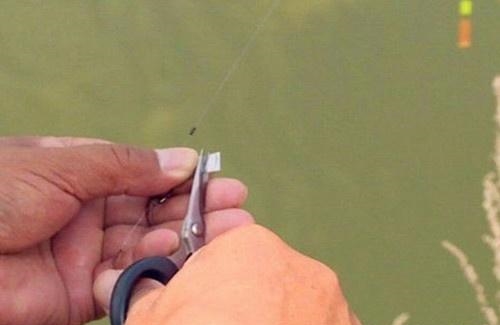 四、五月份正是钓鲮鱼的好时候!钓友们看看我钓的是不是土鲮?