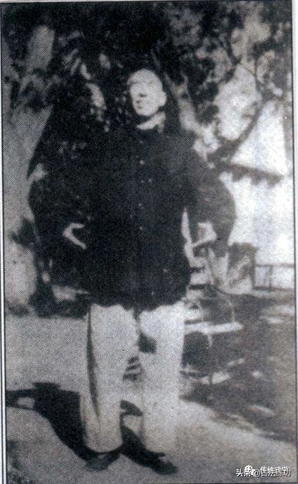 站桩上下意念,站桩简析