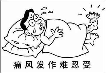 痛风是什么病西医叫什么,痛风是指哪