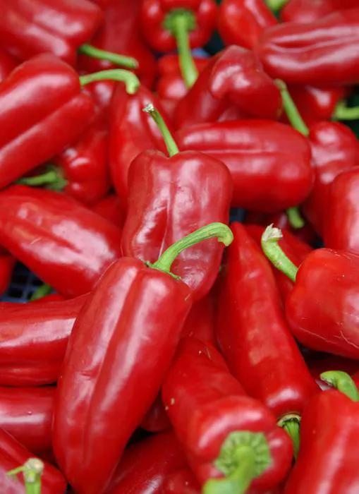 最近山东青州蔬菜市场行情 (青州蔬菜批发市场最新价格表)