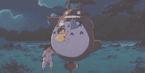 宫崎骏龙猫中一共有多少只龙猫,宫崎骏龙猫动画电影大全