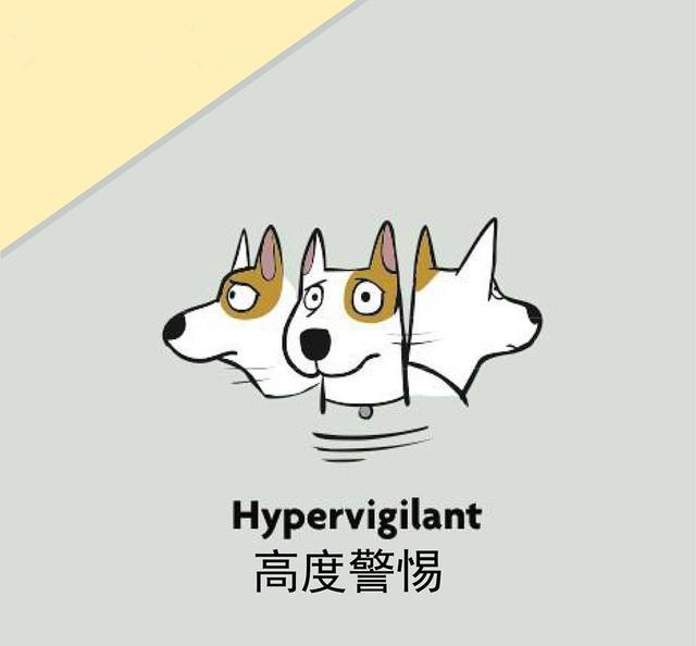 海外工程的出路,国外留学回来的工程