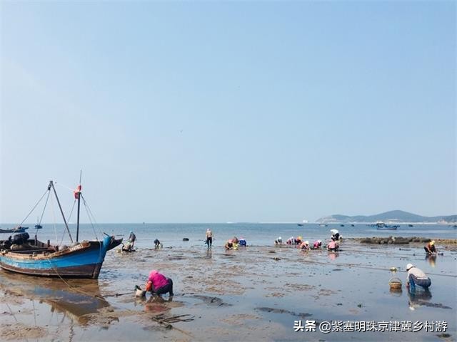 辽宁大连长海县盛茂休闲渔家，伸手就能摸到海？莫非建在海面上？