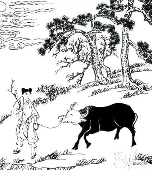 十牧牛图南怀瑾,南怀瑾谈十牛图