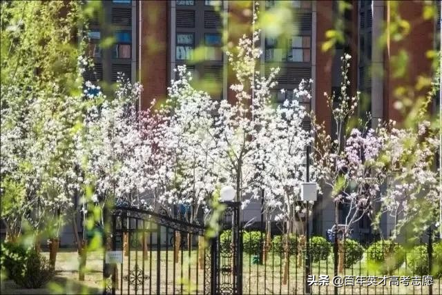 9所中国大学最美宿舍,二本大学最美的宿舍