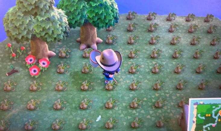 动森为什么这么好看,动森为什么好玩