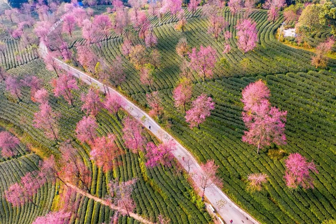 12月想要什么,12月的冬日暖阳岁月如此静好