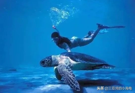 我叫塞浦路斯，这是我的名片，请您收好！