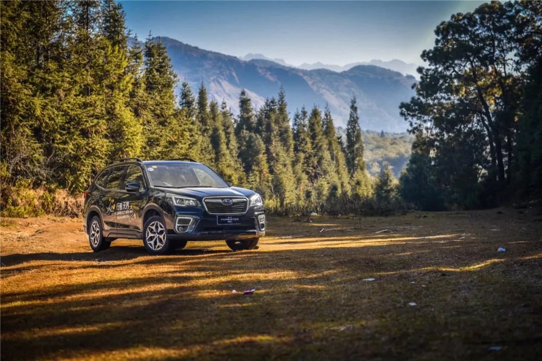 实用性超高的suv斯巴鲁森林人,森林人suv什么性能