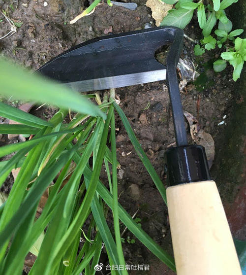 合肥装修公司倒闭最新,合肥一家装修公司跑路