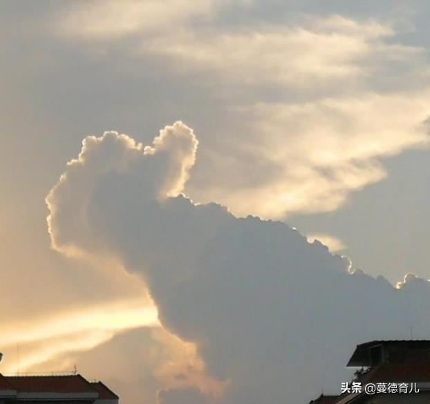 长期便秘会得癌吗,长期便秘偏方大全