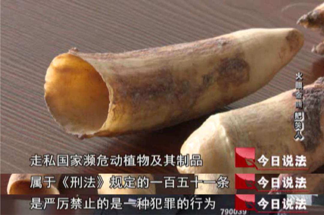 今日说法|他对妈妈说自己在做海外代购，却不让妈妈知道自己的代购涉嫌犯罪