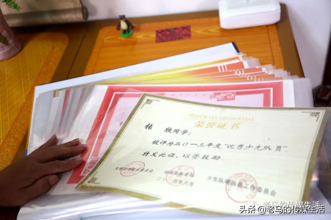 张欣人物简介,张欣是一个怎么样的人