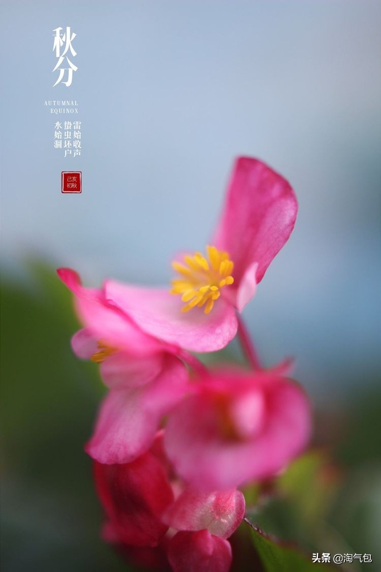 秋分愿生活恰如其分,人生恰如秋分生活恰如其分