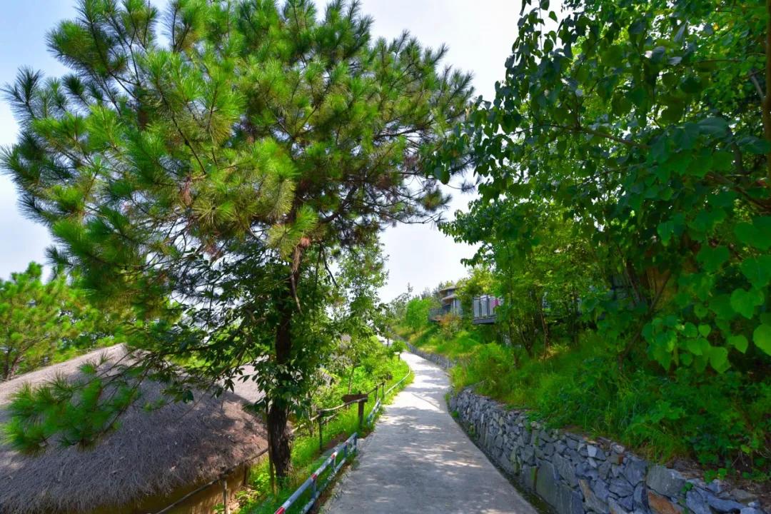 裸心谷民宿1万,裸心谷民宿图片