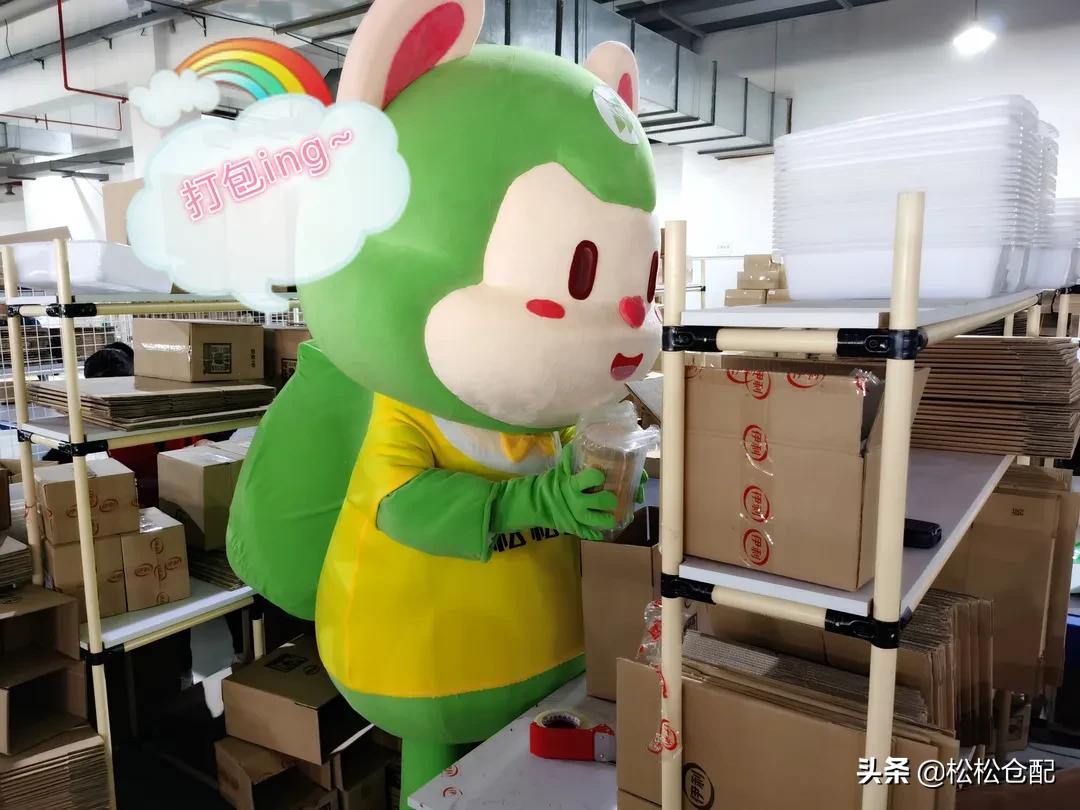 进击的松小裹丨打工人松小裹的学徒之旅