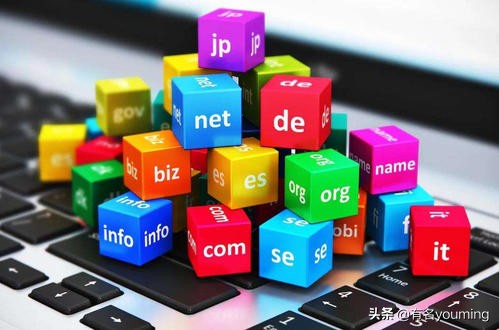 鍒锋柊绾綍鏀粯鍩熷悕鏄撲富缁堢,鏋佸搧鍩熷悕7浣嶆暟缇庨噾鏄撲富