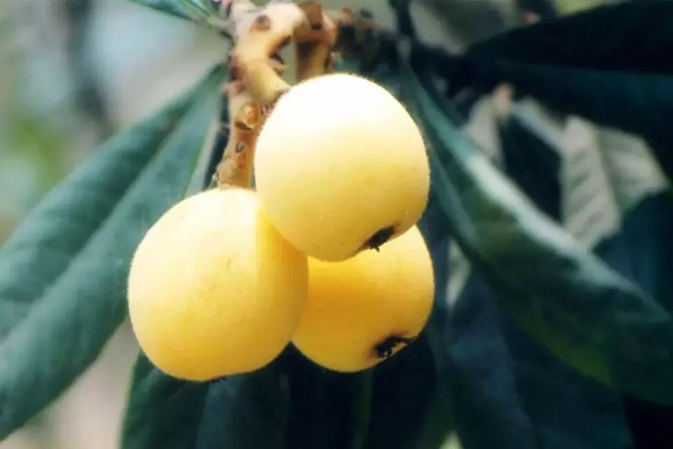 家在北仑,我有一个家北仑