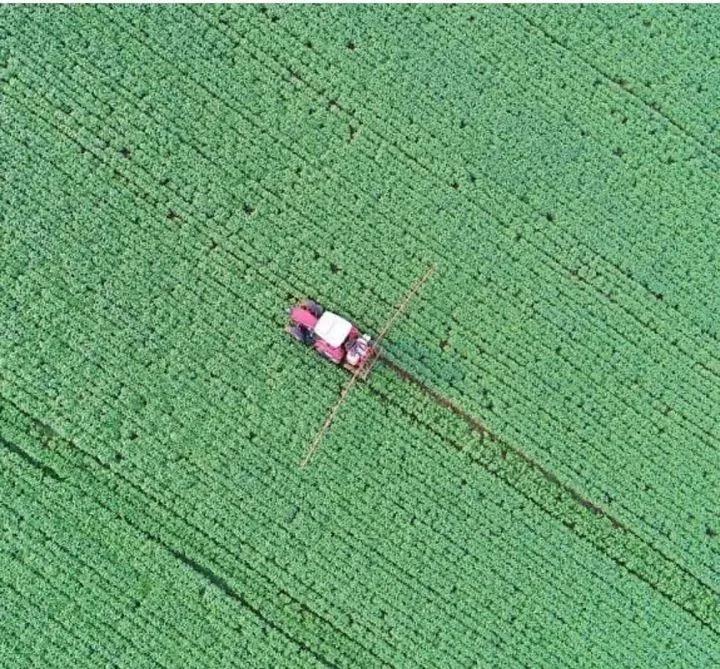 用钱去做农业会怎样,去农村搞种植业投资怎样做最好