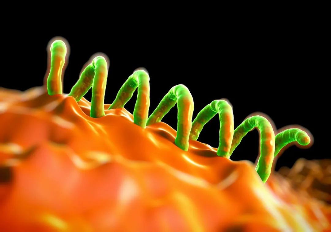 为*论发**文，他们骗600人参与梅毒活体实验，并阻止患者接受治疗