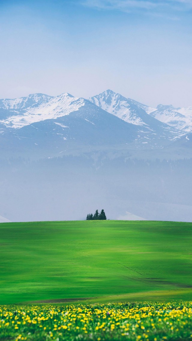 痔疮肛门坠胀老有大便的感觉,下腹隐痛肛门坠胀感觉要大便