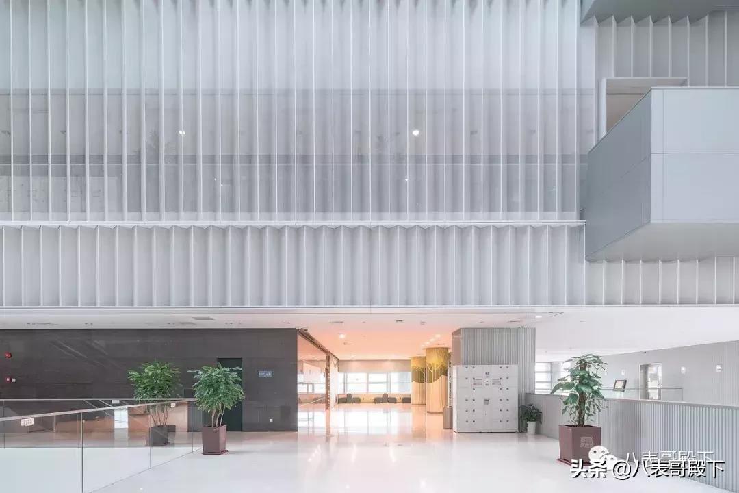 天堂就像图书馆,天堂就是图书馆的模样图片